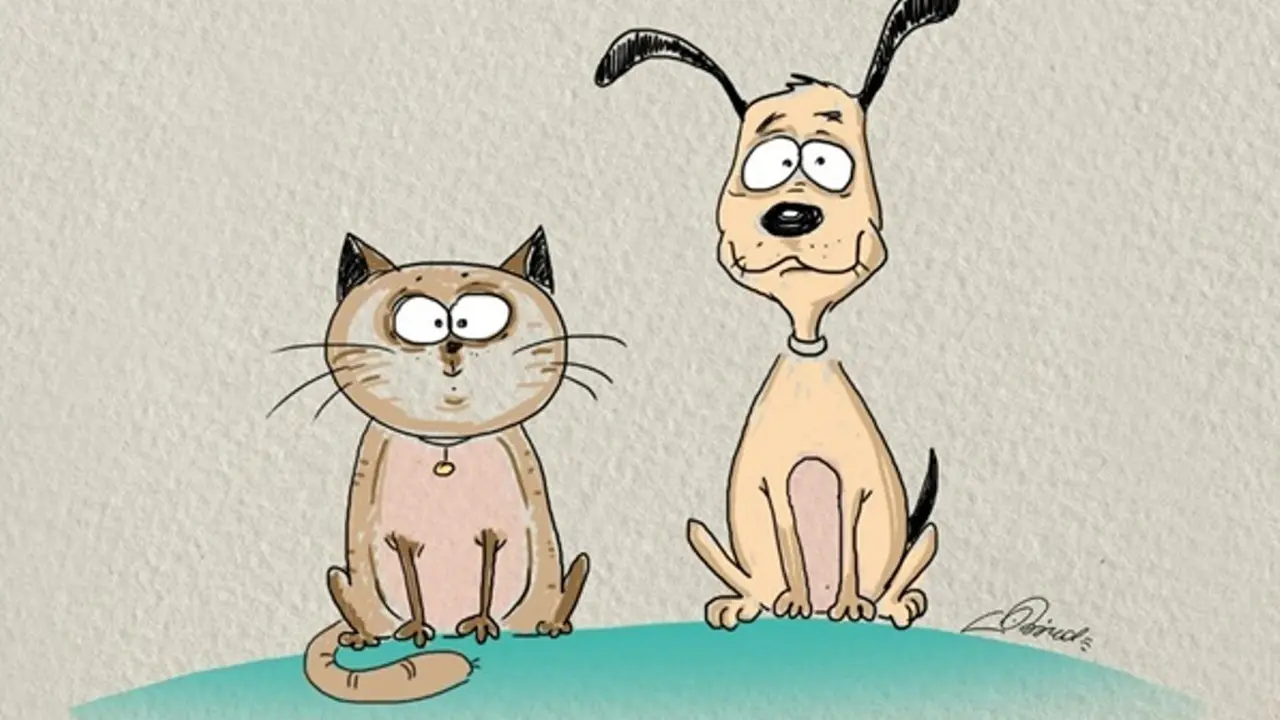 6 Ilustrasi Ini Tunjukkan Kucing adalah Raja, Anjing adalah Teman