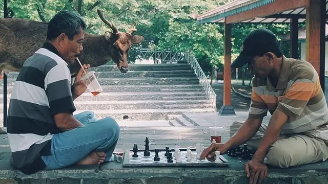 6 Arena Catur Ini Bikin Pemain Sulit Fokus, Enggak Habis Pikir