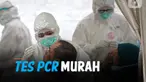 tes pcr thumbnail