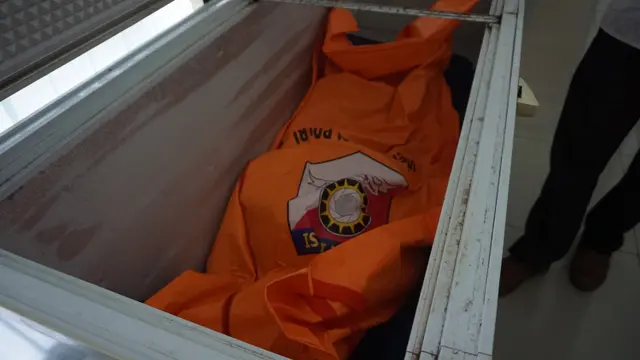 Detik-Detik Akhir Hidup Orangutan yang Ditembus 130 Peluru