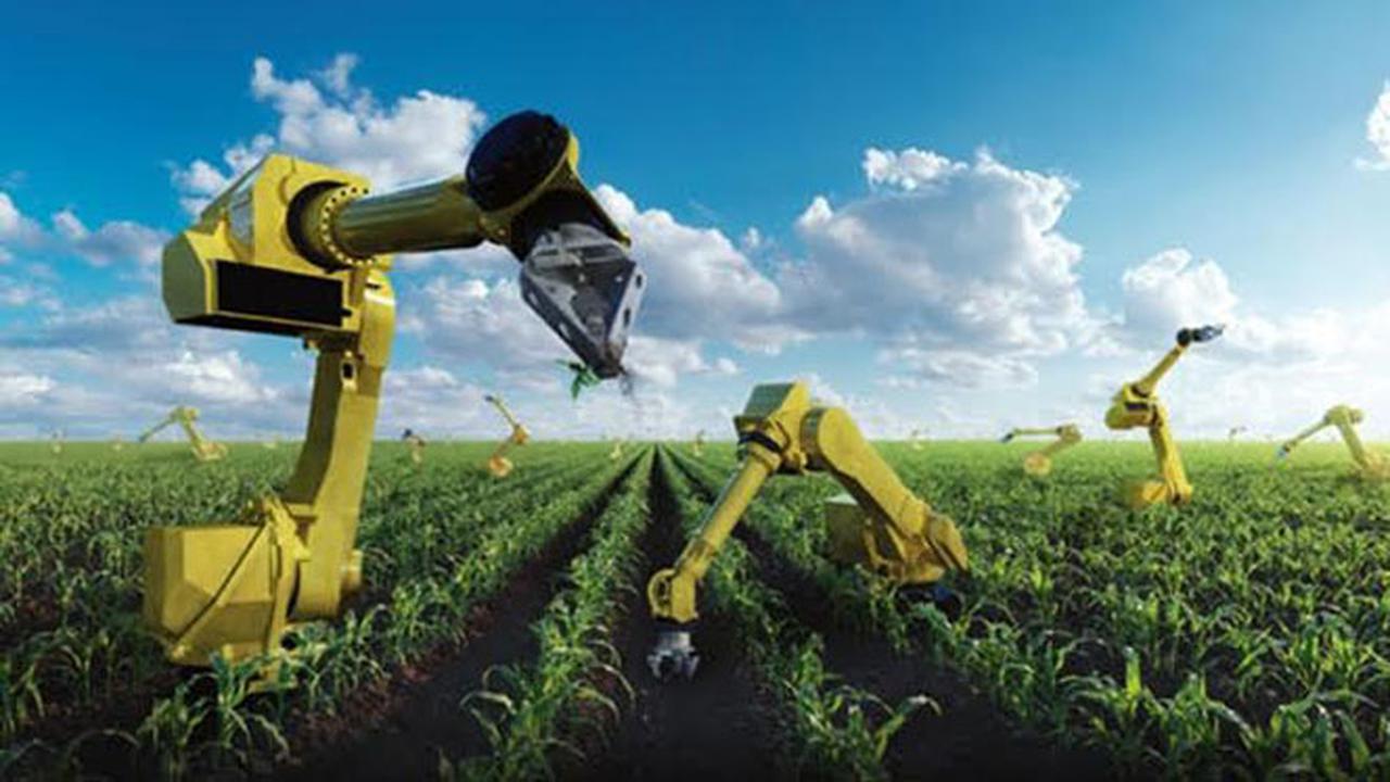 5 Negara dengan Sistem Pertanian Terbaik di Dunia