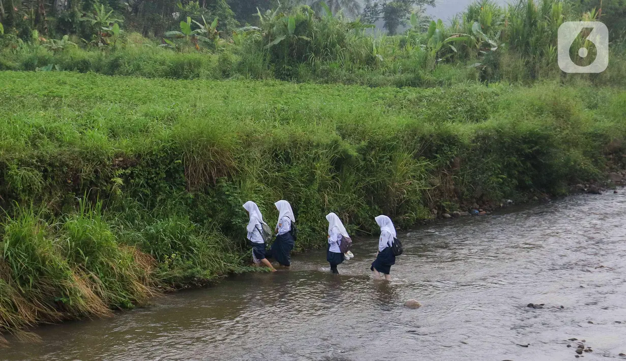 Mereka harus mengangkat tinggi-tinggi tas sekolah dan sepatu agar tidak basah terkena air sungai. (Liputan6.com/Herman Zakharia)