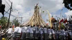 Seorang pria berada diatas puncak tongkat saat ritual Mekotek di Bali (11/11). Tongkat sekitar 3 meter itu melambangkan tombak perang dari besi yang dulu dipakai pasukan Kerajaan Mengwi. (AP Photo/Firdia Lisnawati)