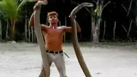Akibat aksi tak lazimnya dalam memperlakukan ular king kobra, Ice Habibie mendapat julukan Si Penakluk Ular dari Mentulik, Kampar, Riau (Liputan 6 SCTV).