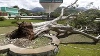 Badai Patricia Tidak Jadi Unjuk 'Kekuatannya' (Reuters)