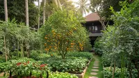 Cara Merawat Pohon Buah di Rumah agar Rajin Berbuah Sepanjang Tahun, Sebuah Panduan Lengkap
