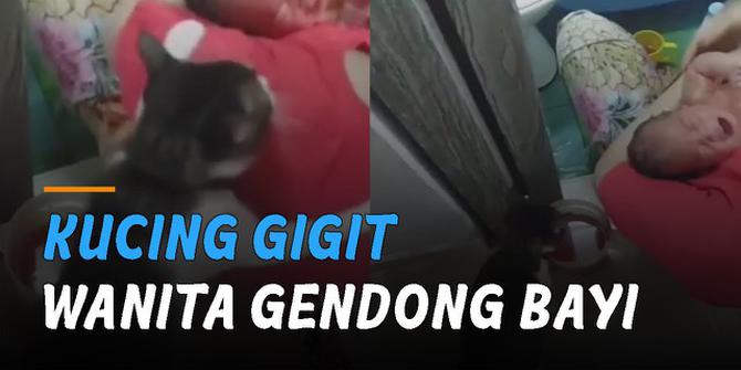 VIDEO: Kucing Gigit Wanita yang Gendong Bayi Nangis, Warganet- Dikira Nyakitin Bayi
