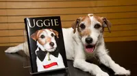 Mengenang Uggie, Anjing di The Artist yang Telah Tiada
