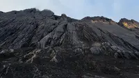 Puncak Carstensz, yang menjadi bagian dari Pegunungan Jaya Wijaya di Papua, menjadi salah satu pencapaian tertinggi Fiersa. Namun, perjalanan ini bukan tanpa risiko. Tragedi kehilangan dua rekan pendaki, Fiersa Besari berduka. (Liputan6.com/IG/@fiersa)