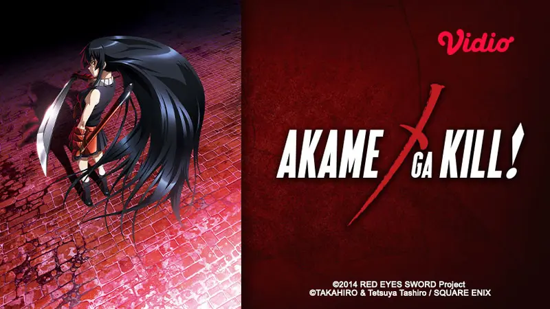 Nonton Anime Akame Ga Kill