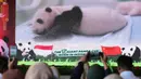 Bayi panda jantan ini dilaporkan dalam kondisi sehat dan stabil dengan berat badan yang terus meningkat secara signifikan. Tampak gambar Satrio Wiratama, yang dijuluki 'Rio', anak panda raksasa pertama yang lahir di Indonesia, ditampilkan pada layar monitor selama konferensi pers di Taman Safari Indonesia, Bogor, Jawa Barat, Selasa 6 Januari 2026. (AP Photo/Dita Alangkara)