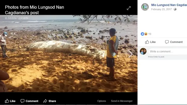 Hoaks, Video Penampakan Hewan Peliharaan Dajjal