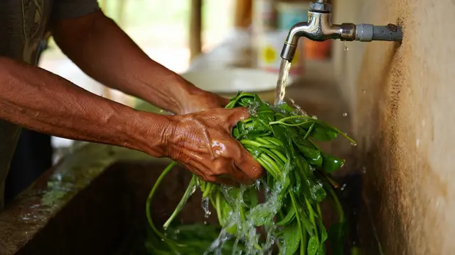 Cara Membuat Kangkung Kering untuk Pakan Ternak (Foto: Reve Art AI)