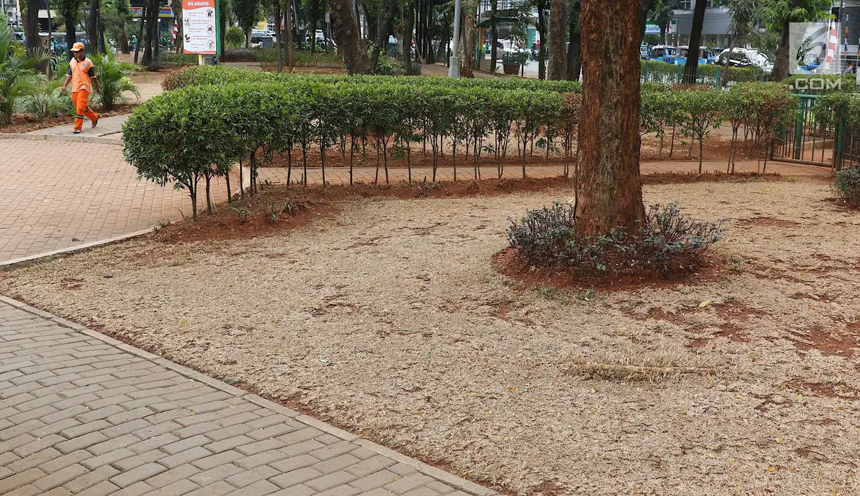 Suasana di Taman Sepeda, Jakarta Selatan, Sabtu (25/8). Kurangnya perawatan serta musim kemarau yang masih berlangsung di Ibukota membuat rumput dan sejumlah tanaman di taman tersebut mati akibat kekeringan. (Liputan6.com/Immanuel Antonius)