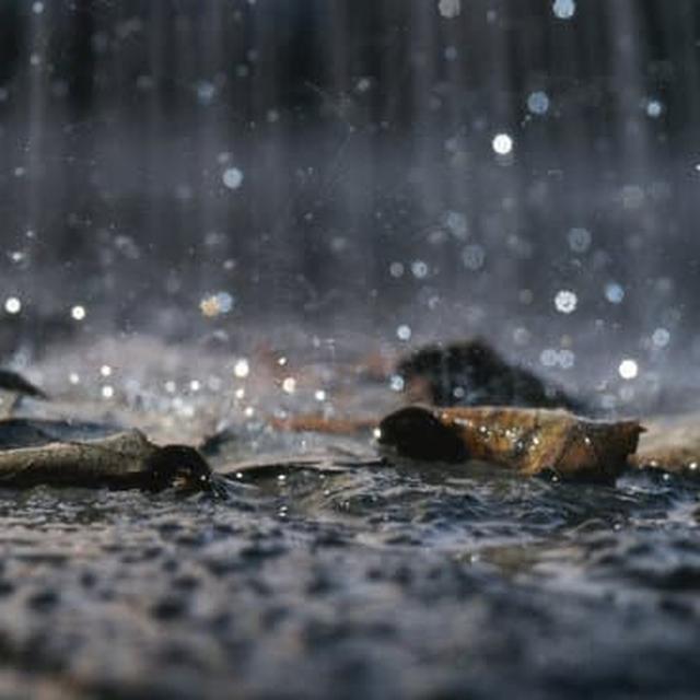 50 Kata Mutiara Tentang Hujan Yang Lucu Dan Bikin Baper Hot Liputan6 Com