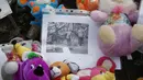 Jatuhnya pesawat MH17 Malaysia Airlines yang di Ukraina banyak mendapat simpati (REUTERS/Maxim Zmeyev)