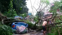 Pohon Tumbang Timpa Angkot dan Warung Bakso di Bogor (Liputan6.com/Achmad Sudarno)