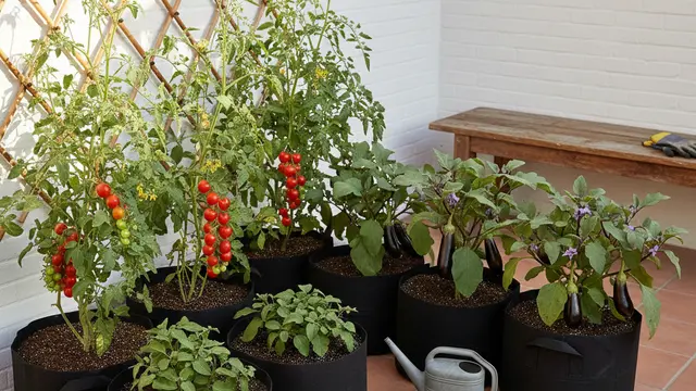 Kebun Polybag Sudut Halaman L-Shape