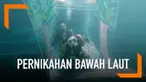 Dalam merayakan Hari Kasih Sayang, 9 pasangan memilih mengikuti tradisi pernikahan bawah laut. Pernikahan ini digelar di Provinsi Trang, bagian selatan Thailand.