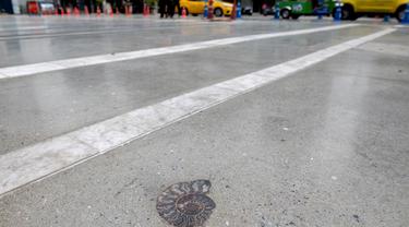 Fosil amon ditemukan tertanam di trotoar baru area perbelanjaan di Bangkok, Thailand pada 3 Mei 2022. Para ahli paleontologi mengatakan lebih dari 70 cangkang yang tertanam di jalan setapak di luar pusat perbelanjaan Bangkok telah ditemukan sebagai fosil makhluk laut yang hidup lebih dari 66 juta tahun yang lalu. (Alex OGLE / AFP)