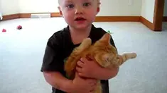 Tas ini juga harus memikirkan durasi oksigen yang tersedia, agar kucing dapat nyaman saat dibawa.