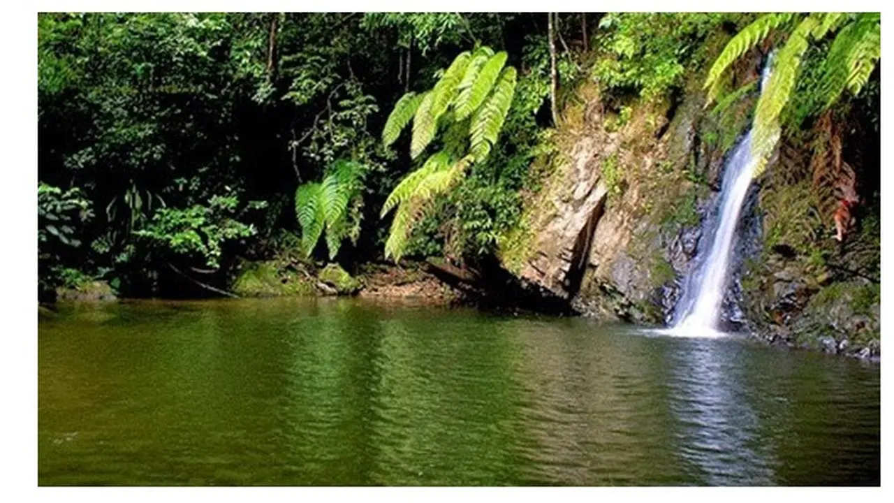 Air Terjun Batu Dinding, Surga Tersembunyi di Riau