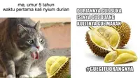 6 Meme Tentang Durian Ini Nyeleneh Pol, Bikin Geleng Kepala (1cak)