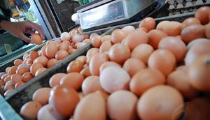 Meski bulan Ramadan masih sekitar 3 minggu lagi, harga telur ayam negeri mulai melambung tinggi (Liputan6.com/Miftahul Hayat) 