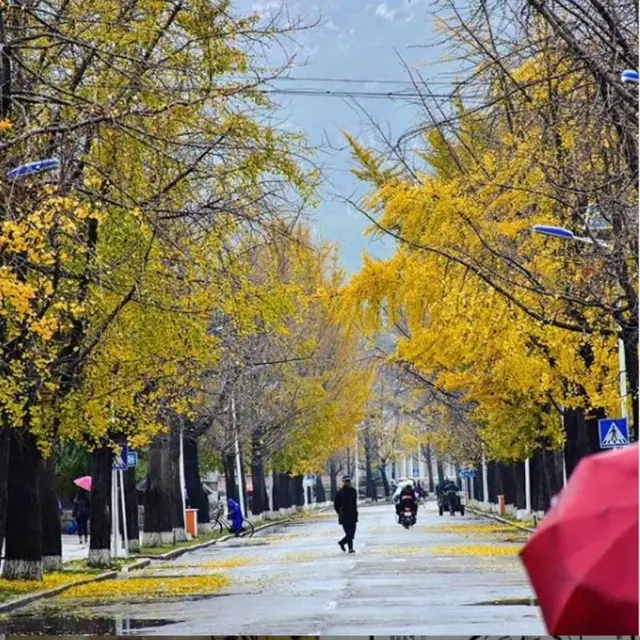 Korea Utara Lockdown Kaesong, Kota yang Punya 12 Situs Budaya UNESCO