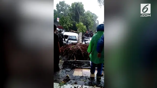 Seorang pengendara mobil Toyota Avanza, Enny Reno, tewas setelah tertimpa pohon tumbang saat hujan deras disertai angin puting beliung di kawasan Batu Tulis, Kota Bogor.