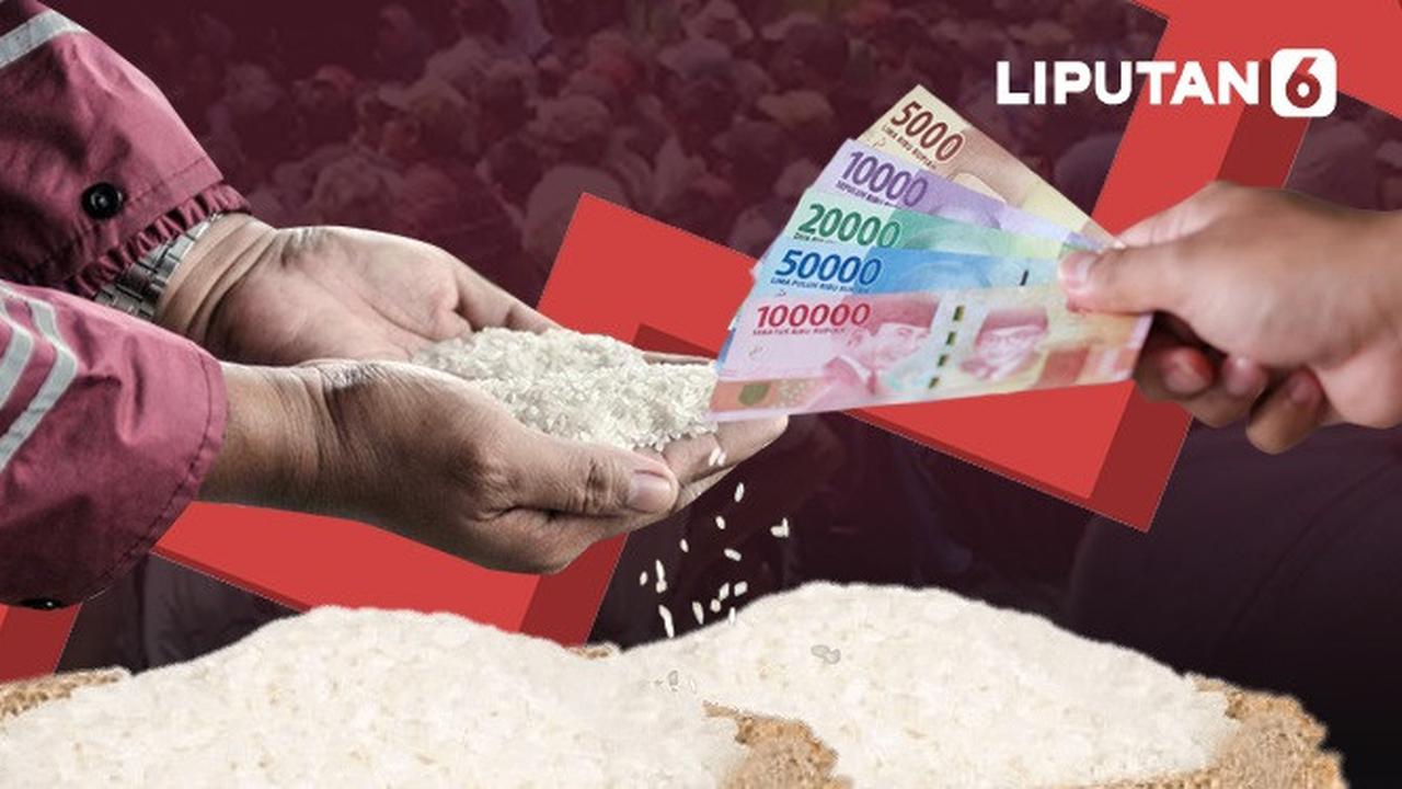 Banner Infografis Harga Beras Naik hingga Beli Beras Dibatasi