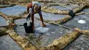 Alfred Attard mengumpulkan garam laut dari dataran garam dengan pematang batu di sebuah desa di Gozo, Malta, pada 7 September 2020. Dikelilingi seluruhnya oleh laut, Malta merupakan salah satu produsen besar garam laut yang dihasilkan dari dataran garam berpematang batu. (Xinhua/Jonathan Borg)