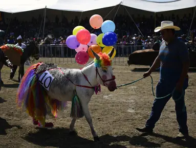 Peserta membawa keledainya yang dihias saat mengikuti National Donkey Fair di Otumba, Meksiko (1/5). National Donkey Fair ini diadakan setiap tahun. (AFP Photo/Pedro Pardo)