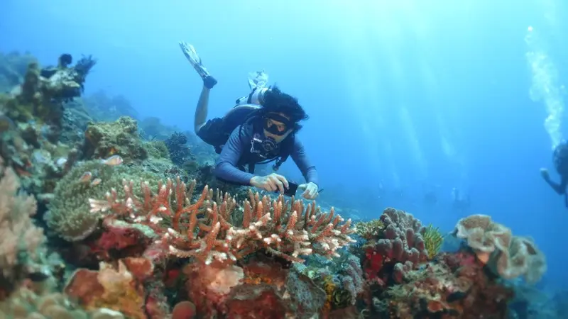 Menelusuri Keindahan Pantai Aili, Permata Tersembunyi di Nusa Tenggara Timur