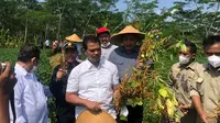 Kementerian Pertanian melakukan kunjungan ke Desa Selat, Kecamatan Nguter, Kabupaten Sukoharjo, jum'at (6/5/22) untuk meninjau lokasi pertanaman kedelai.