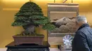 Pengunjung melihat bonsai yang ditampilkan saat Konvensi Bonsai Dunia ke-8 di Saitama, Tokyo, Jepang, Sabtu (29/4). The World Bonsai Friendship Federation telah menyelenggarakan konvensi sejak tahun 1989. (AFP PHOTO / Kazuhiro NOGI)