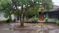 8 Pohon Buah yang Cocok untuk Halaman Rumah yang Sering Becek