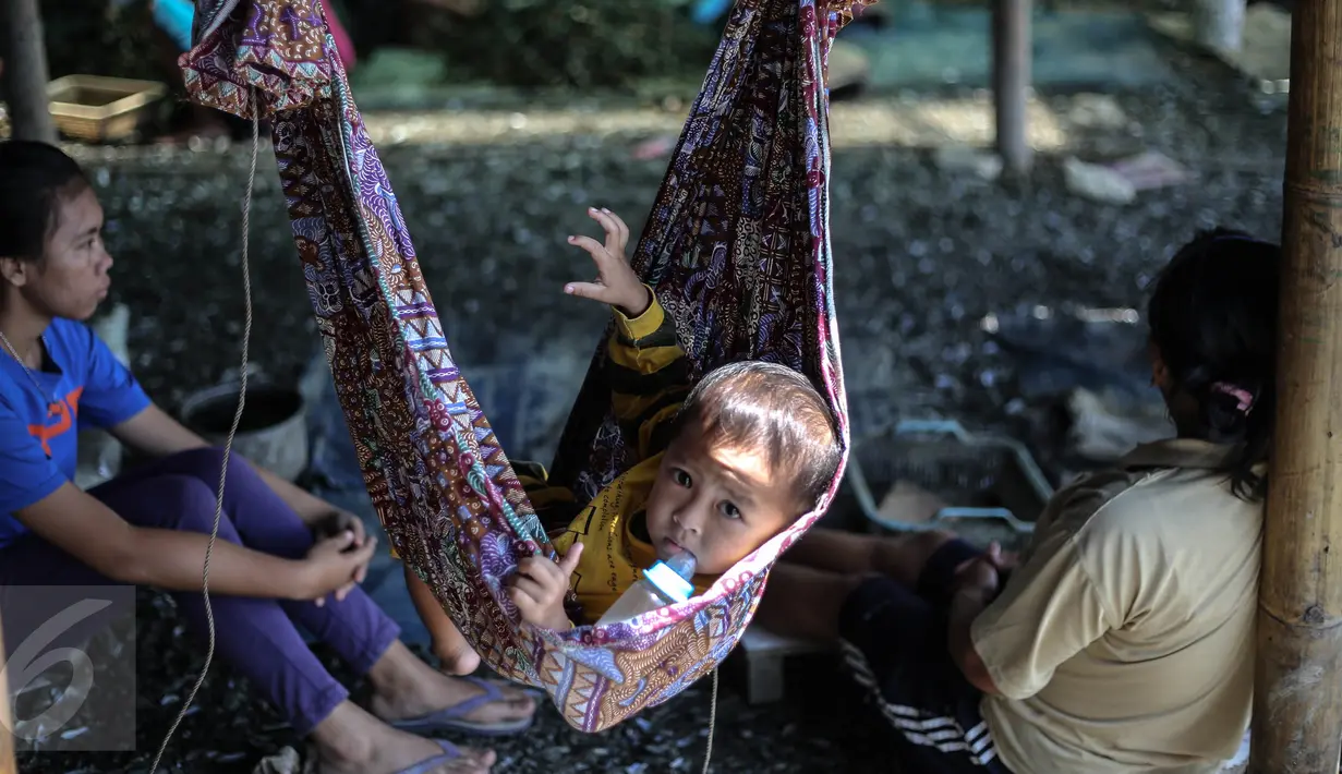 Seorang anak menunggui ibunya yang bekerja mengupas kerang hijau di kawasan Muara Angke, Jakarta, Senin (3/8/2015). Dengan penghasilan Rp 30 ribu/hari, para buruh tersebut harus cukup memenuhi kebutuhan hidup keluarganya. (Liputan6.com/Faizal Fanani)