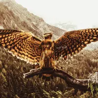 Gambar-gambar berikut bakal membuat kamu makin kagum pada Garuda bersimbol Pancasila.