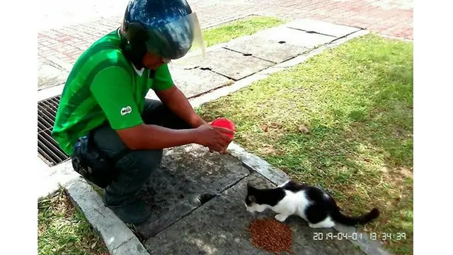 Bikin Haru, Pria Ini Rela Kerja Part Time Demi Biayai Kucing Jalanan