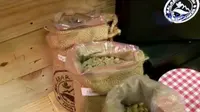 Ramaikan Festival Kampung Kopi 2015 di GBK