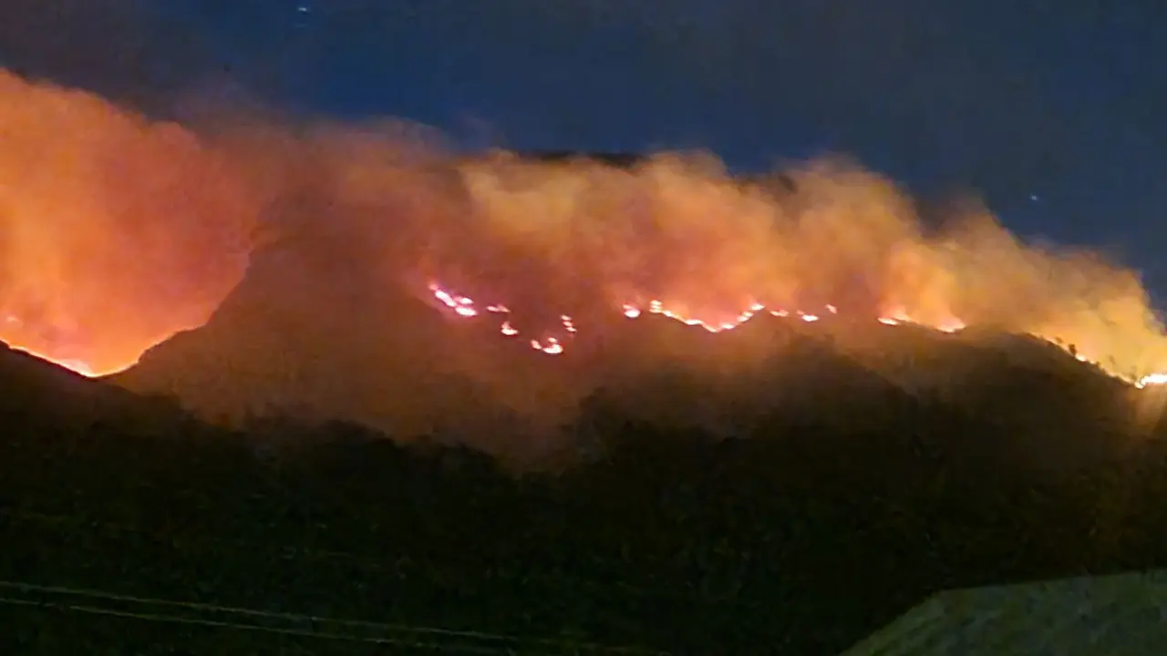 Kebakaran hutan di kawasan kawah Ijen. (Istimewa).