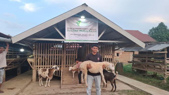 Peternak Aceh Pulih dari Bencana Banjir yang Menghancurkan Ratusan Kambing Miliknya