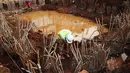 Dengan anggaran sebesar Rp 493 miliar, proyek ini ditargetkan rampung Februari 2015, Jakarta, Kamis (10/7/14). (Liputan6.com/Faizal Fanani)