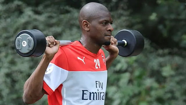 Abou Diaby 