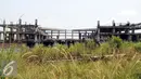 Akses jalan di sekitar Proyek Hambalang terlihat buntu karena sudah tertutup tumbuhan liar, Jawa Barat, Minggu (4/9). Proyek Hambalang ini sudah 4 tahun mangkrak. (Liputan6.com/Helmi Afandi)