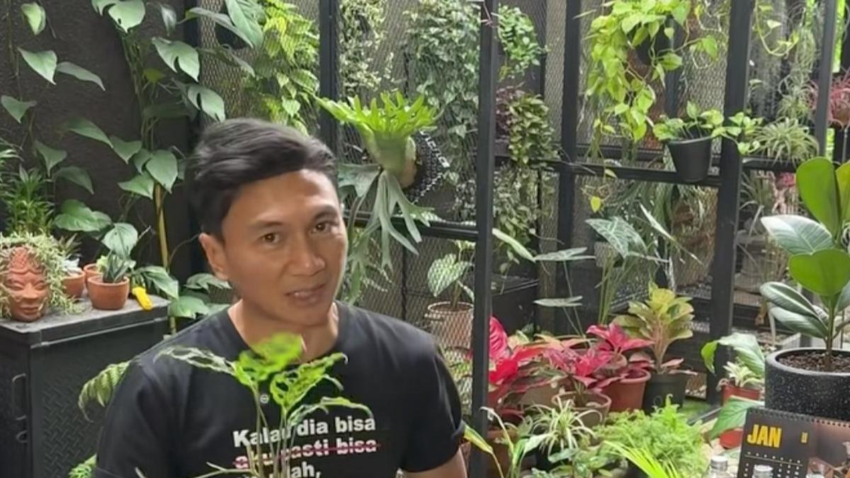 8 Model Taman di Rumah Anji, Koleksi Tanaman Hias Beragam dan Instagramable