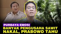 Emosi! Purbaya Ungkap Banyak Pengusaha Sawit Nakal, Prabowo Sudah Tahu: Saya Sikat Tak Peduli!