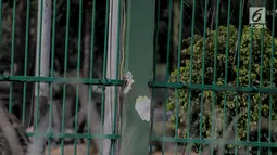 Kondisi pagar gedung Dewan Perwakilan Rakyat (DPR) yang dirusak dan dijebol massa aksi mahasiswa di Senayan, Jakarta, Selasa (24/9/2019). Bagian pagar itu sebelumnya rusak oleh massa aksi mahasiswa yang menolak revisi UU KPK dan RUU KUHP. (Liputan6.com/Faizal Fanani)