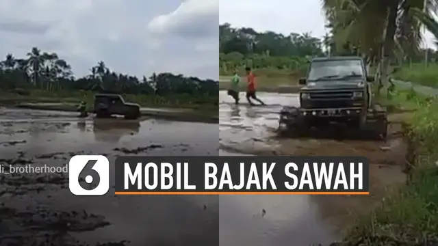 Biasanya mobil digunakan sebagai transportasi saat di jalan. Namun berbeda dengan mobil yang satu ini digunakan untuk membajak sawah.